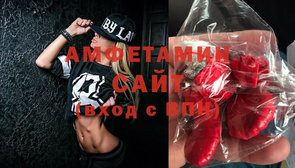 амф Гусиноозёрск