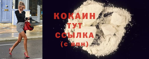 спиды Гусев