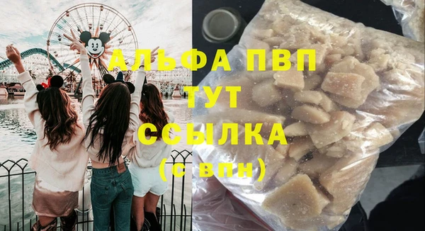 спиды Гусев
