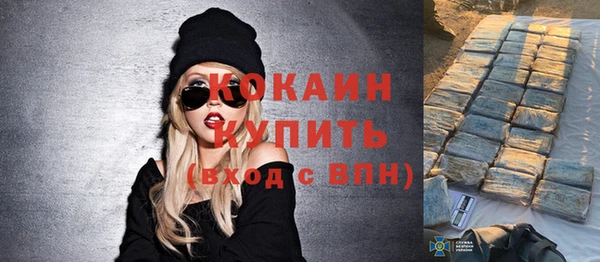 спиды Гусев
