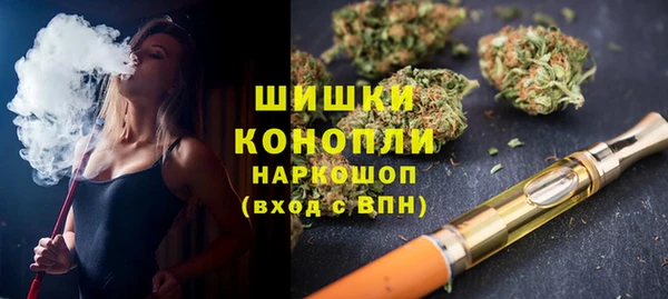 амф Гусиноозёрск