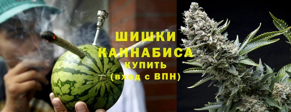 амф Гусиноозёрск