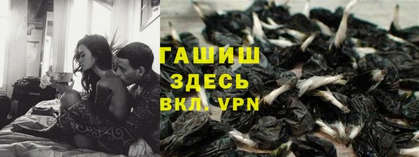 спиды Гусев